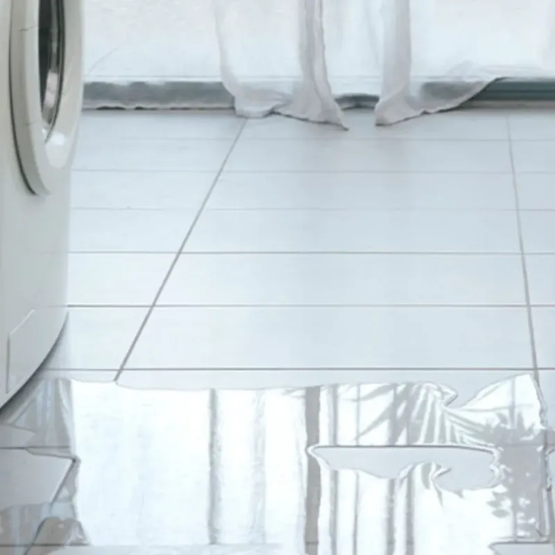 Appliance Leak Cleanup in Pumpkin Center, NC