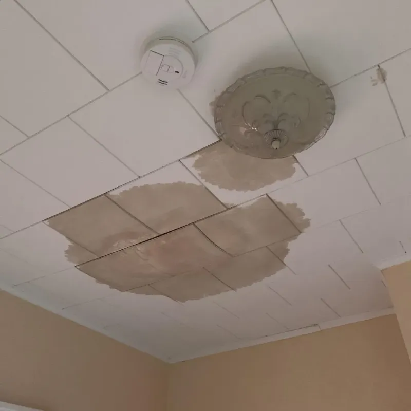 Ceiling Water Damage Repair in Pumpkin Center, NC