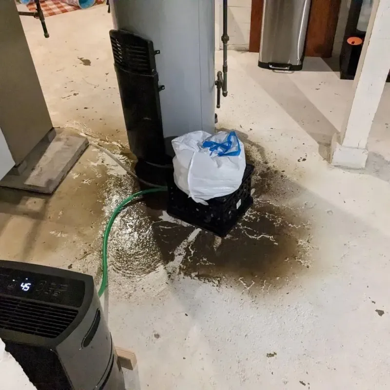 Sewage Backup Cleanup Service in Pumpkin Center, NC